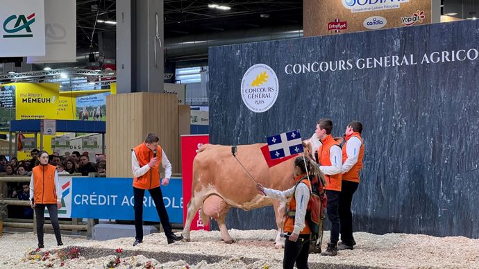  - Après un passage en anglais, l'épreuve du grand ring se termine en français.