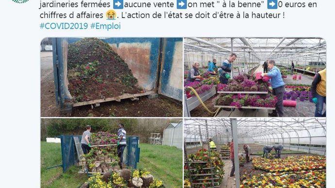 Après, notamment, des appels des médias ou ici de la FNSEA sur Twitter, le département du Loiret a acheté pour 500 000 euros de productions horticoles locales. Elles vont fleurir la Route des roses, des communes, et des sites départementaux. ©FNSEA