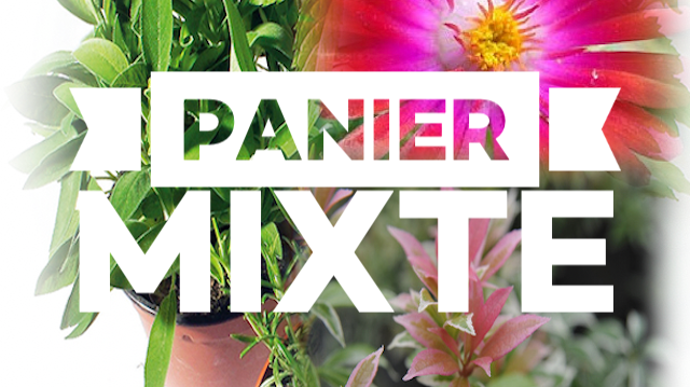 Chaque panier comprend un lot de 18 € HT de plantes (logistique et coûts de transport – aux normes Covid-19 - gérés par Ezeeplant). Les sacs Root Pouch d’emballage, livrés à l’horticulteur participant, sont offerts par CEP agriculture. ©Ezeeplant