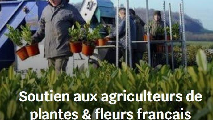 La start-up Plantes Originelles, entreprise parisienne qui a fait du Made In France son leitmotiv, a spécialement pour cette période de crise, organisé un « pot solidaire ». ©Plantes Originelles