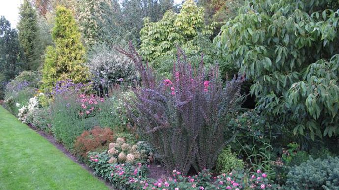 © Valérie Vidril Au fil des années et de l'enrichissement de leur gamme, Joanna et Bronislaw Szmit ont aménagé un jardin de démonstration de 2,5 ha. 