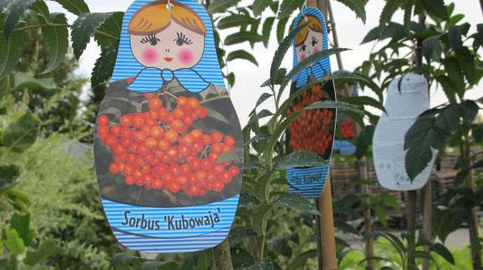 © Valérie Vidril L'entreprise développe une gamme d'arbustes à petits fruits (Aronia, Lonicera caerulea, Rubus, Sorbus…), car la demande du marché amateur en plantes comestibles augmente fortement. 