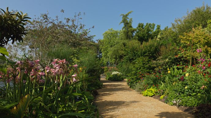 Ville de Mimizan (40), Fleur d'or 2020