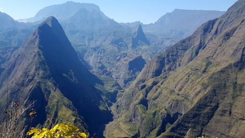 À la découverte de l'élevage sur l'île de La Réunion