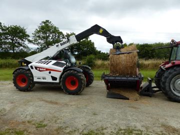 Chariots télescopiques BOBCAT TL 34.65 HF Agri