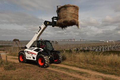 Chariots télescopiques BOBCAT TL 38.70 HF Agri