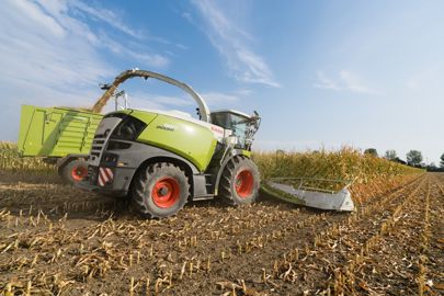 Ensileuses CLAAS Jaguar 980
