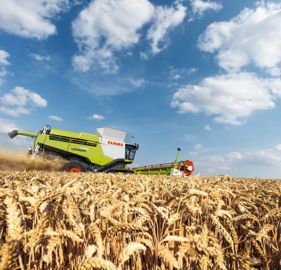 Moissonneuses-batteuses CLAAS Lexion 780