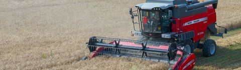 Moissonneuses-batteuses MASSEY FERGUSON 7342 Activa