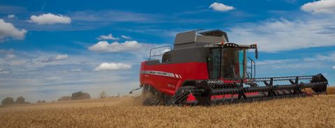 Moissonneuses-batteuses MASSEY FERGUSON 7370 Beta