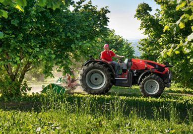 Tracteurs SAME FRUTTETO 100 PLATEFORME