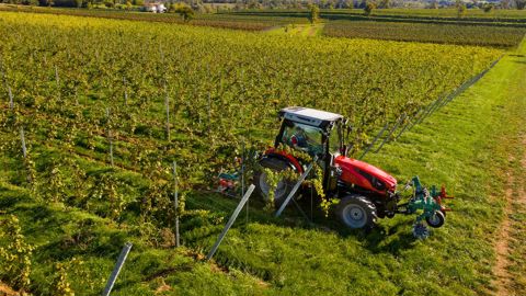 Tracteurs SAME FRUTTETO 105 CVT V Tracteurs SAME FRUTTETO 105 CVT V