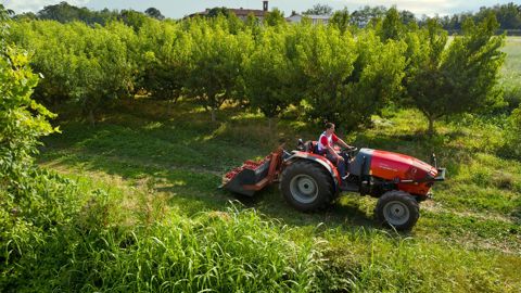 Tracteurs SAME FRUTTETO 80 Natural
