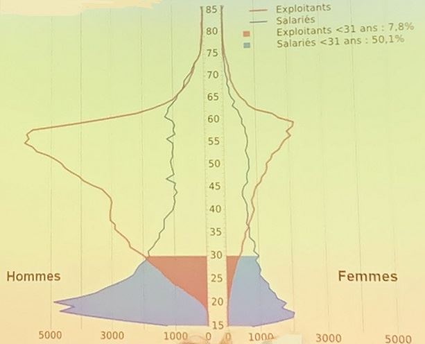 age et sexe des actifs en elevage de ruminants