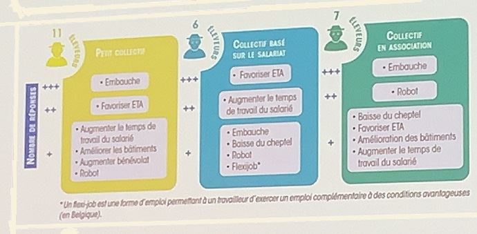 solutions face au manque de main d oeuvre en elevage selon collectif de travail