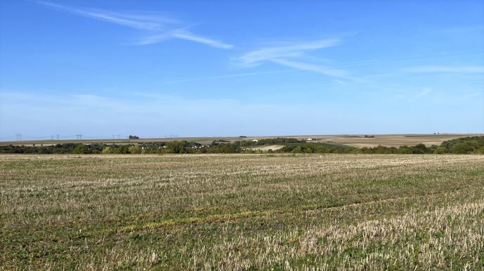 En 2022, la valeur de la production agricole a fortement augmenté, en lien avec la hausse des prix agricoles.