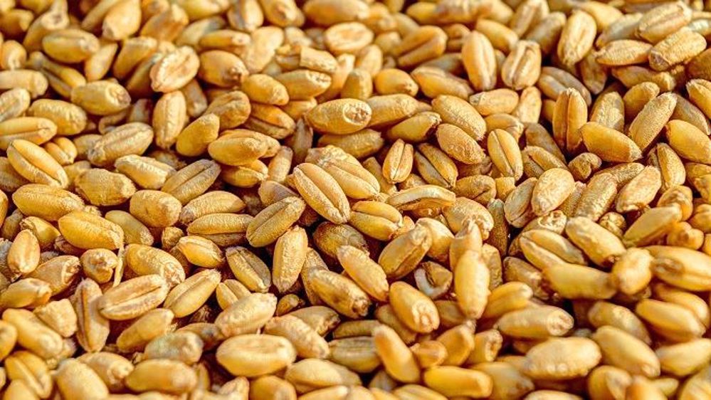 La Chine n'a pas l'intention d'augmenter ses quotas annuels d'importations de maïs, blé et riz, qui bénéficient de tarifs douaniers préférentiels.