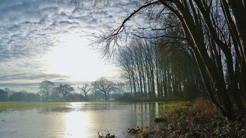 64 % des communes sont concernées par un risque inondation. 64 % des communes sont concernées par un risque inondation.