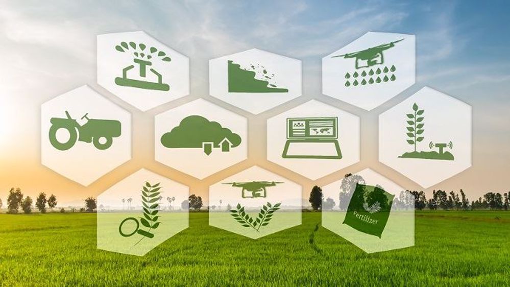 Dotée de 4 millions d'euros, Unilis Agtech accompagnera une dizaine de start-up.