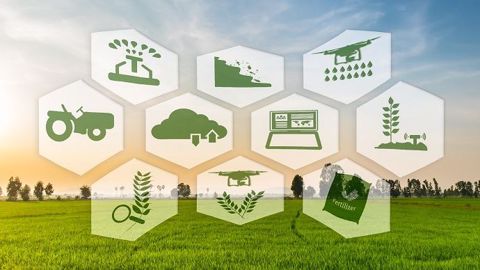 Dotée de 4 millions d'euros, Unilis Agtech accompagnera une dizaine de start-up.