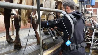 Créé pour soulager le trayeur, l'exosquelette générerait plus de problèmes Créé pour soulager le trayeur, l'exosquelette générerait plus de problèmes