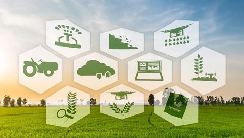 Vous avez une idée pour réduire l'usage des produits phytosanitaires. Déposez-la d'ici le 15 mars 2020 sur le site de Vegepolys Valley. 