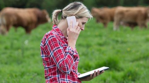 53 % des agricultrices bio sont membres d'un syndicat, 21 % sont ou ont été responsables professionnelles et 62 % sont adhérentes d'une organisation de défense de l'agriculture biologique ou paysanne. 