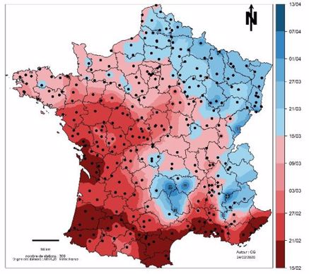 Prévision d’atteinte du stade épi 1 cm pour du blé tendre semé à une date normale (variétés et date de semis ajustées à la région en moyenne pluriannuelle)