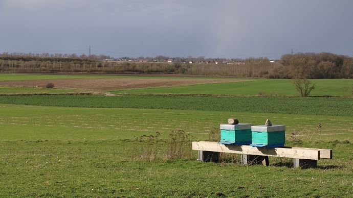 Site de la Ferme pilote en agro-écologie performante du groupe Carré