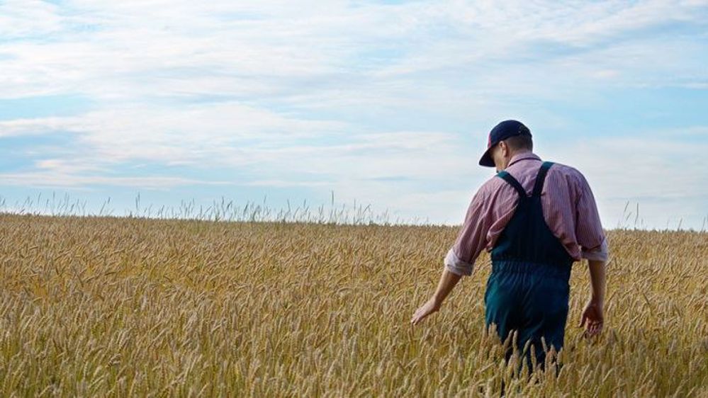 Parmi les outils de biocontrôle les plus utilisés en grandes cultures : le phosphate ferrique, le soufre et les trichogrammes.