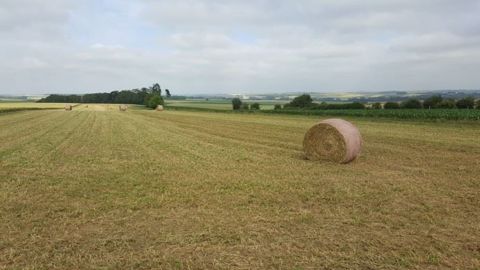 Quel sera le temps pour la période des foins ? Quel sera le temps pour la période des foins ?