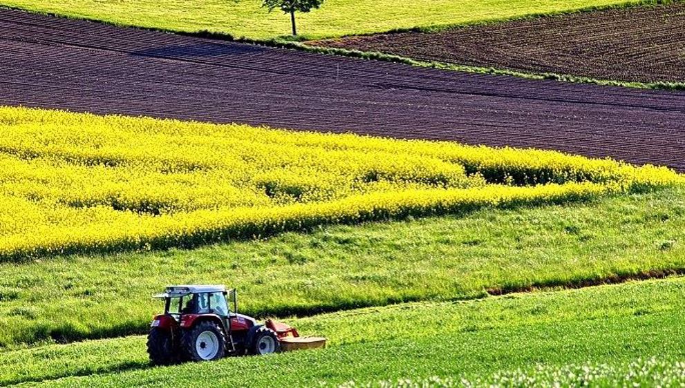 Plan de relance pour l'agriculture