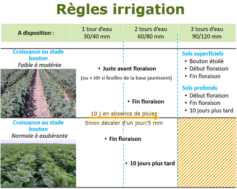 Les règles de décisions d’une stratégie d’irrigation à l’optimum